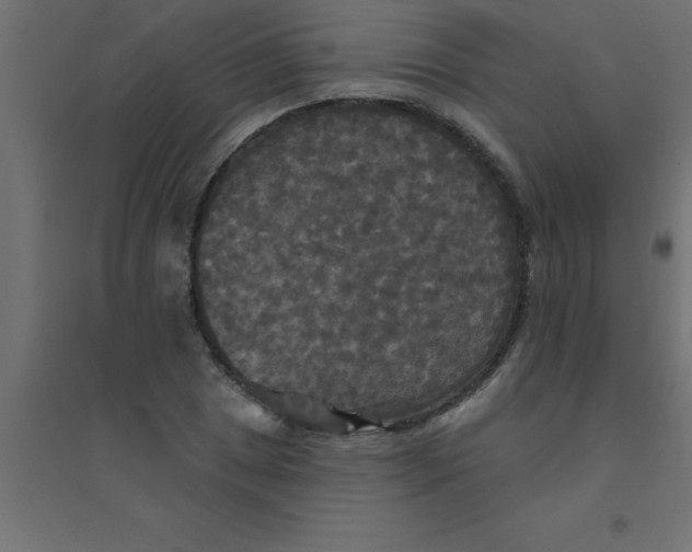 X0000094351025200711241910