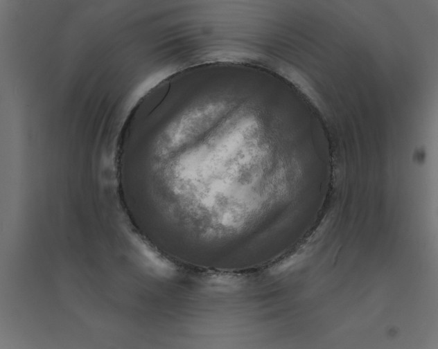 X0000094351026200711241910