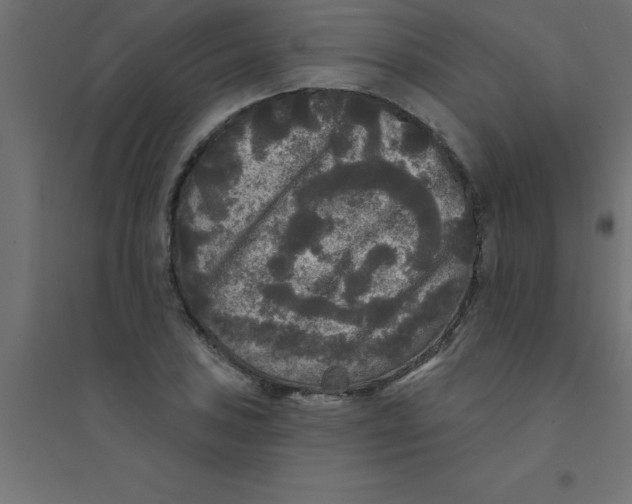 X0000094351027200711241910