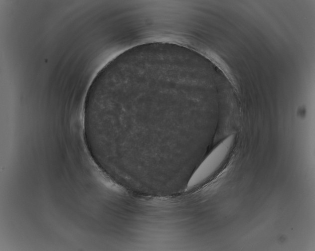 X0000094351028200711241910