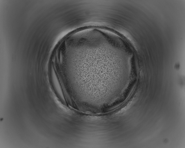 X0000094351030200711241910