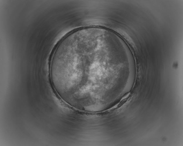 X0000094351031200711241910