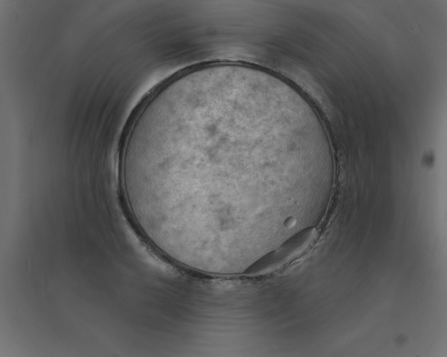 X0000094351032200711241910