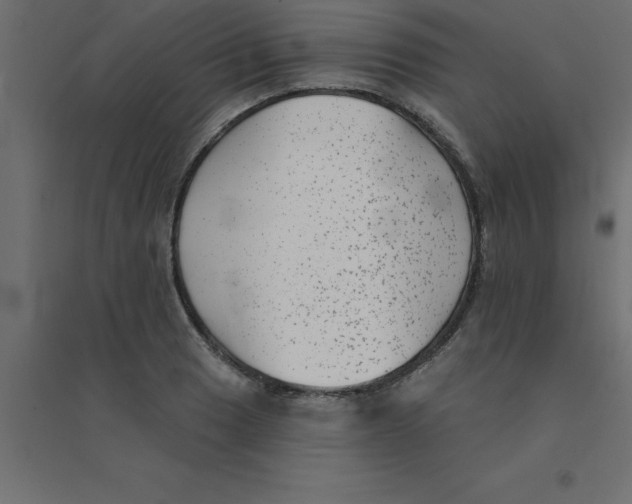 X0000094351033200711241910