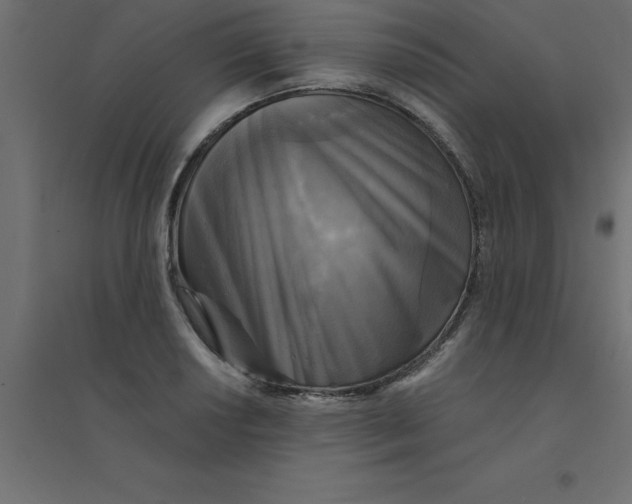 X0000094351034200711241910