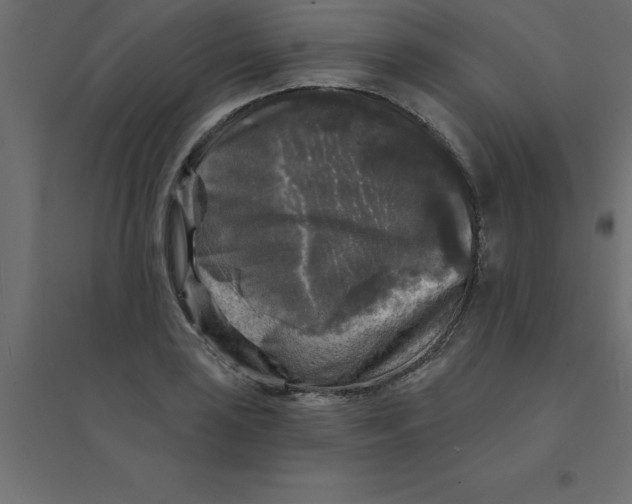 X0000094351035200711241910