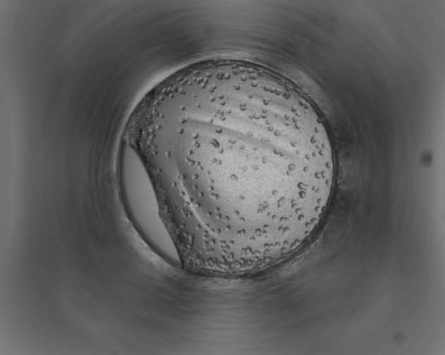 X0000094351036200711241910