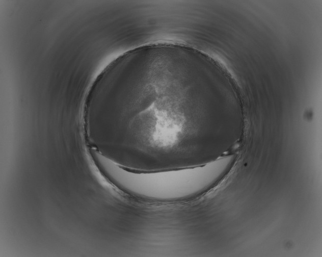 X0000094351038200711241910