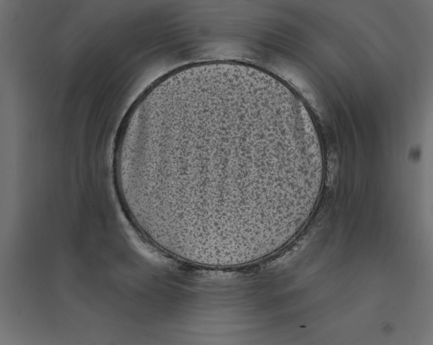 X0000094351039200711241910