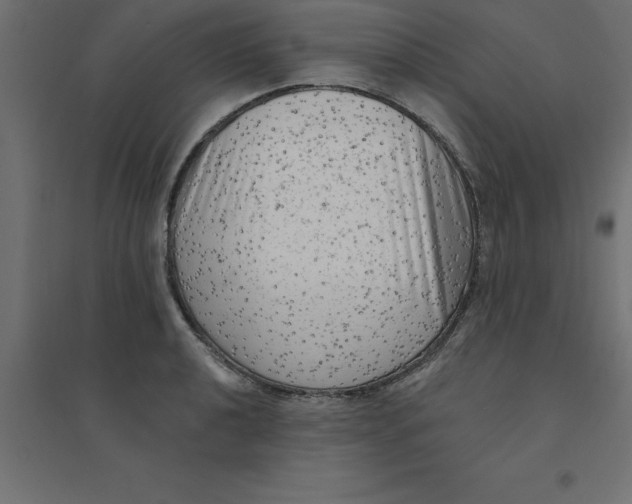 X0000094351040200711241910