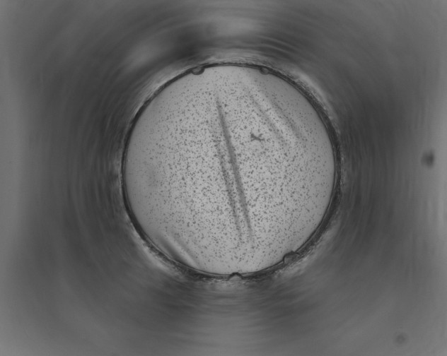 X0000094351041200711241910