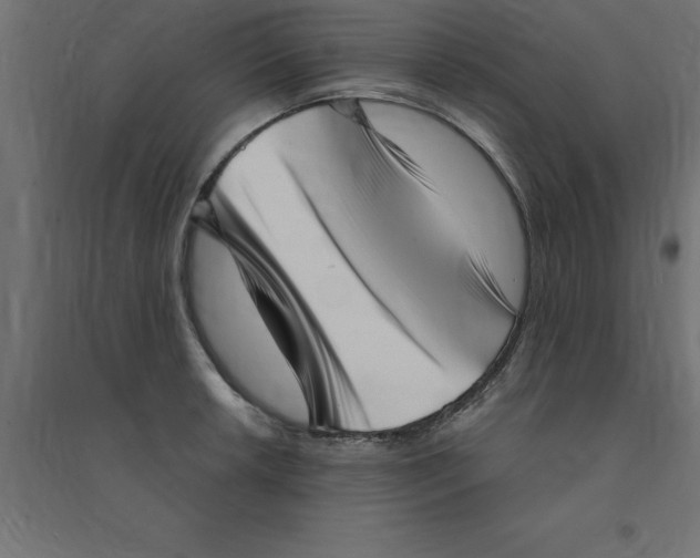 X0000094351042200711241910