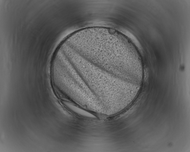 X0000094351043200711241910