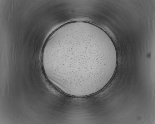 X0000094351044200711241910