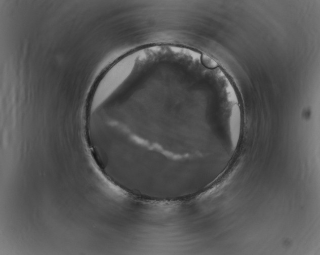 X0000094351045200711241910