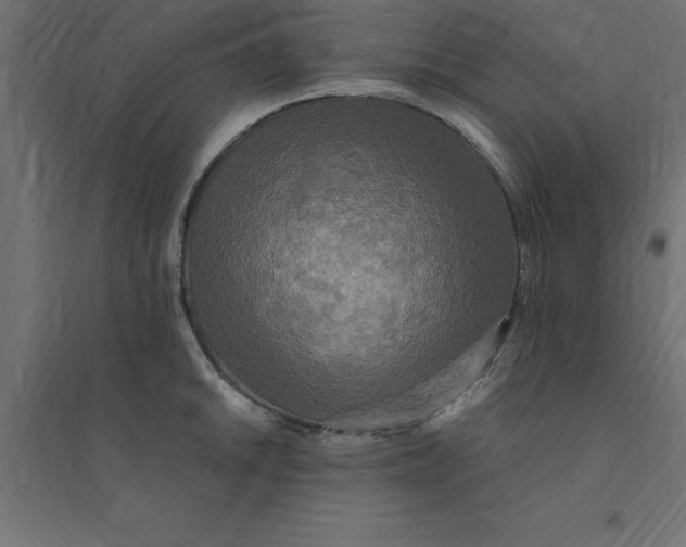 X0000094351046200711241910