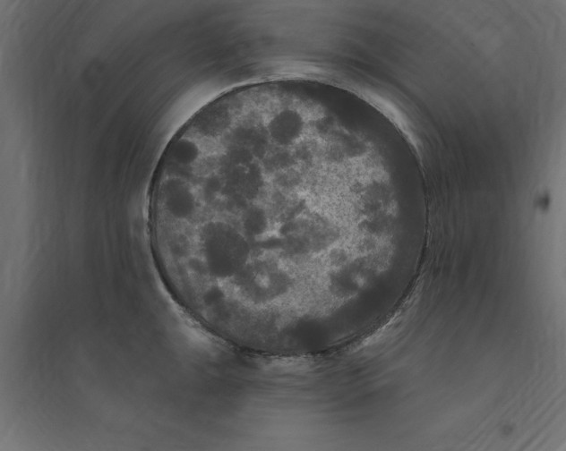 X0000094351047200711241910