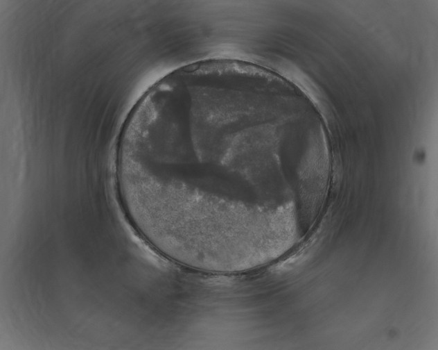 X0000094351048200711241910