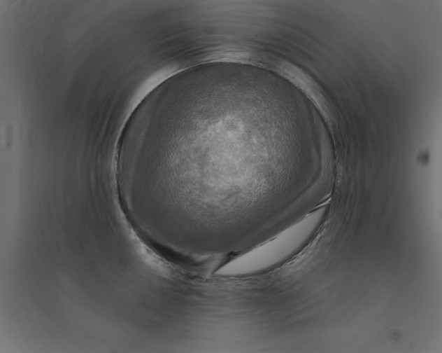 X0000094351050200711241910