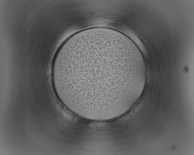 X0000094351051200711241910