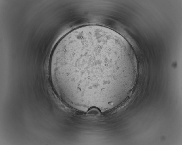 X0000094351052200711241910