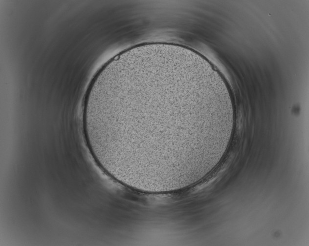 X0000094351053200711241910