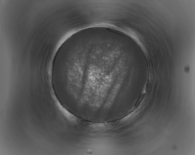 X0000094351054200711241910