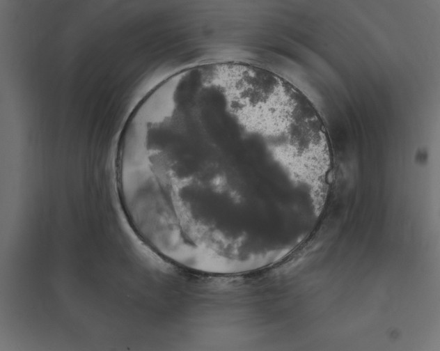 X0000094351055200711241910