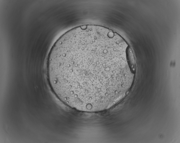 X0000094351056200711241910