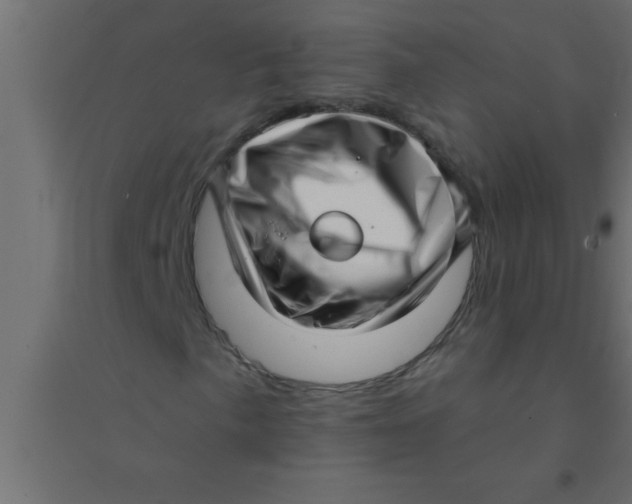 X0000094351057200711241910