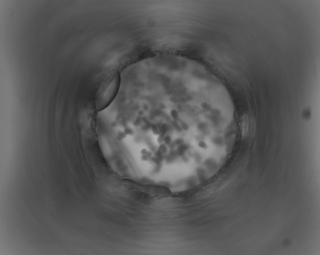 X0000094351059200711241910