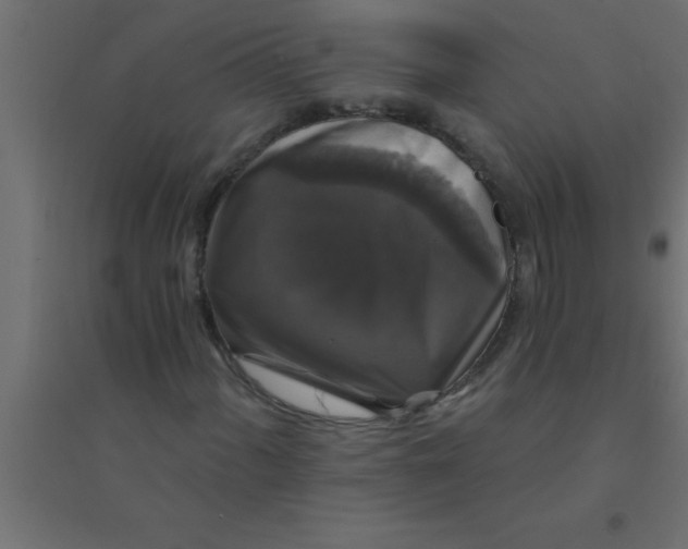 X0000094351060200711241910