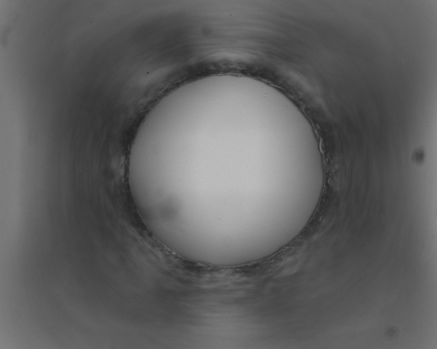 X0000094351061200711241910