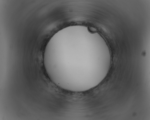 X0000094351062200711241910