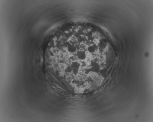 X0000094351063200711241910