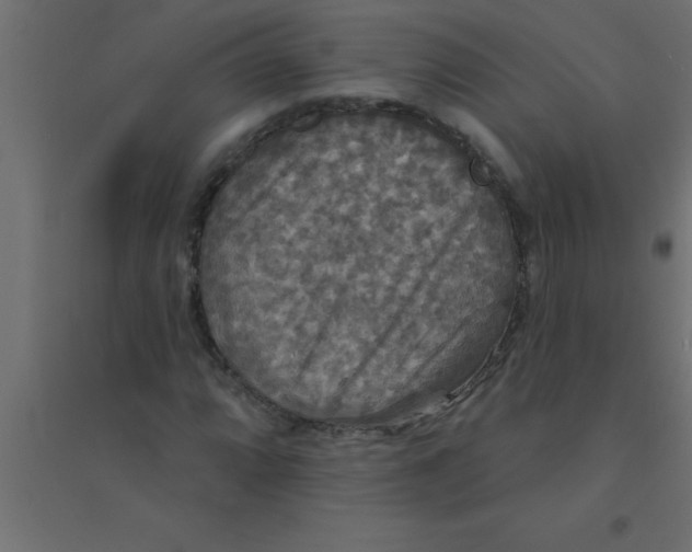 X0000094351064200711241910