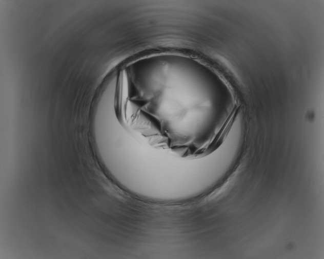 X0000094351065200711241910