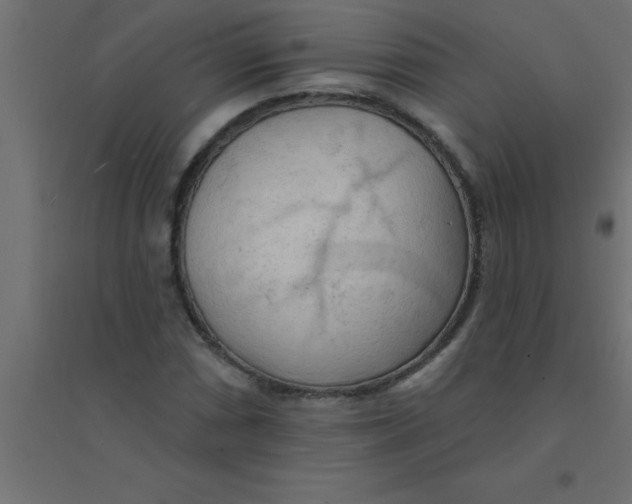 X0000094351066200711241910