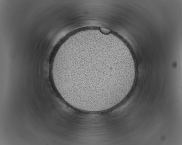 X0000094351067200711241910