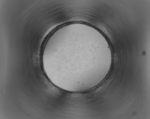 X0000094351068200711241910