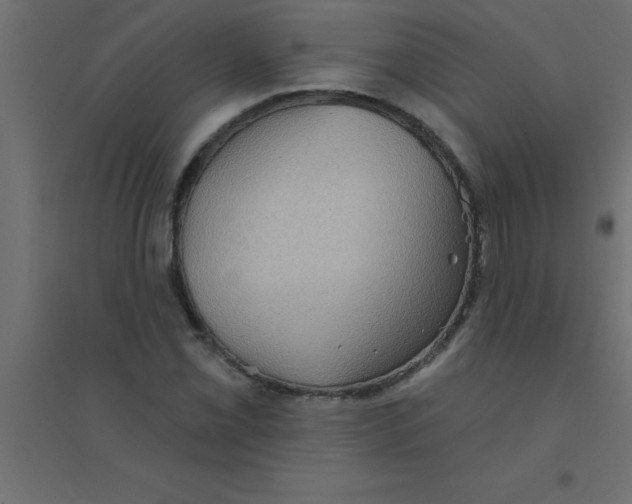 X0000094351069200711241910