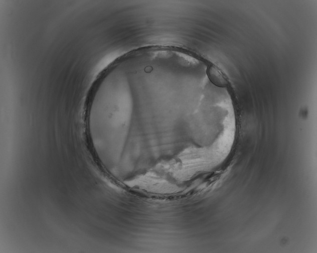 X0000094351071200711241910