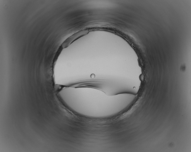 X0000094351073200711241909