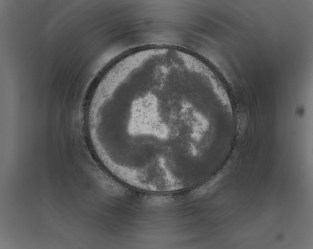 X0000094351074200711241909