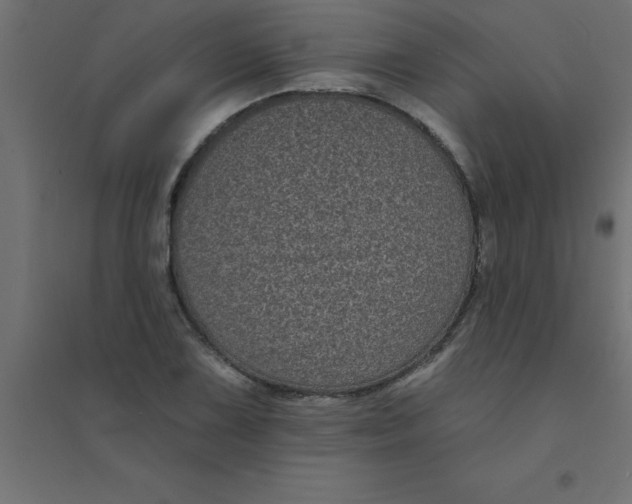 X0000094351075200711241909