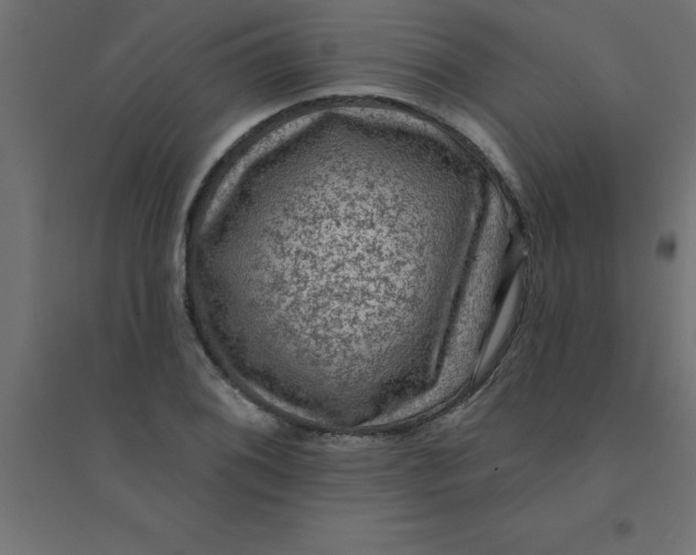 X0000094351076200711241909