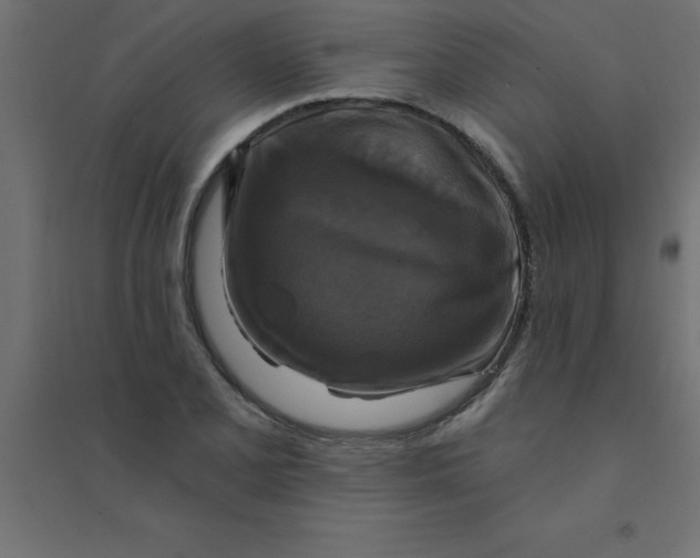 X0000094351077200711241909