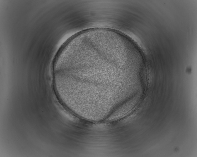 X0000094351078200711241909