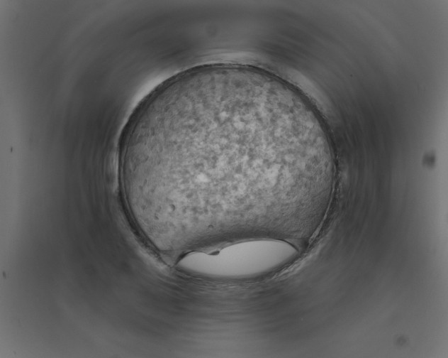 X0000094351079200711241909