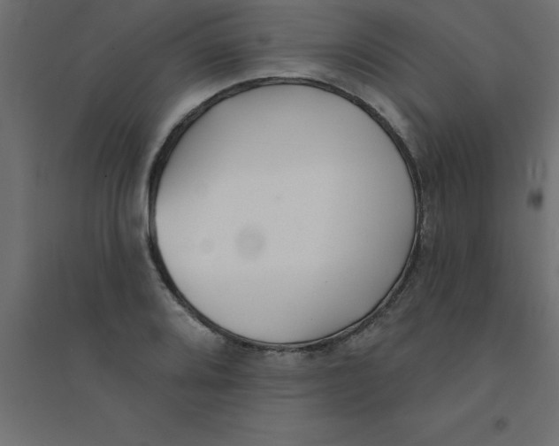 X0000094351080200711241909